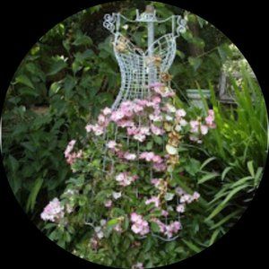 Meet your Posher, Moe